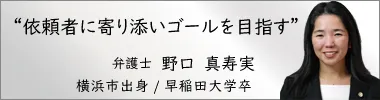 弁護士野口真寿実,のぐちますみ,神奈川県弁護士会所属
